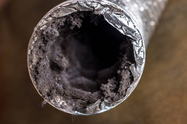 Best Air Duct Cleaning Near Me  in Bonadelle Ranchos, CA